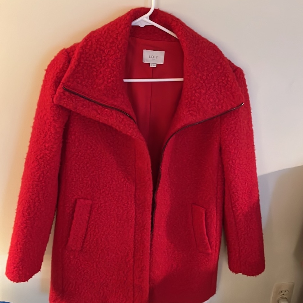 Ann Taylor Loft Outlet Winter Jacket - Picture 5 of 7